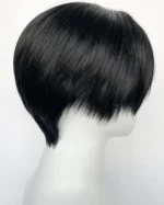 Jet Black Straight Lace Front Synthetic Men's Wig